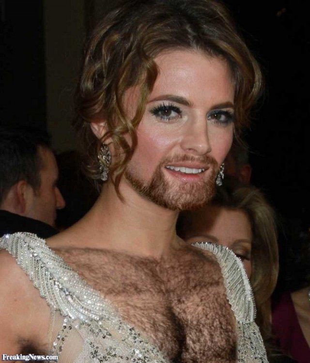 Stana-Katic-with-a-Hairy-Chest--117200.jpg