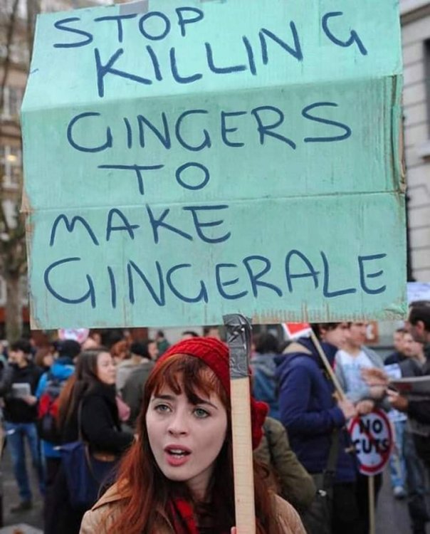 ginger.jpg