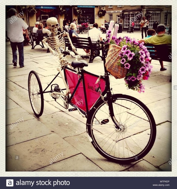 view-of-skeleton-riding-bicycle-WTFKEP.jpg