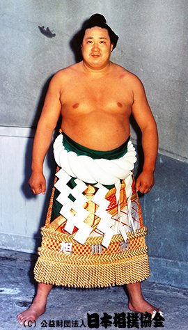 yokozuna52.jpg.d415a641f7b2398ef41b9911afd460da.jpg