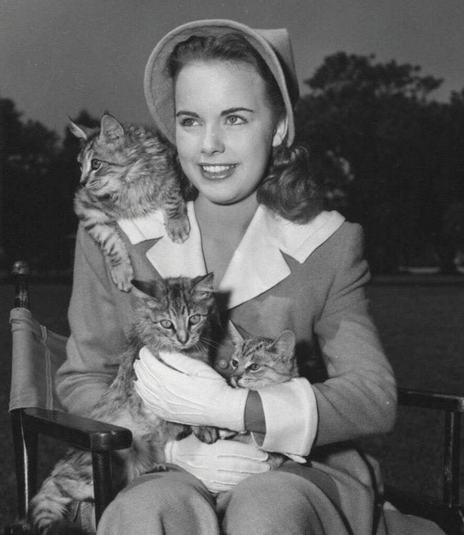 Terry_Moore_1947_photo.jpg